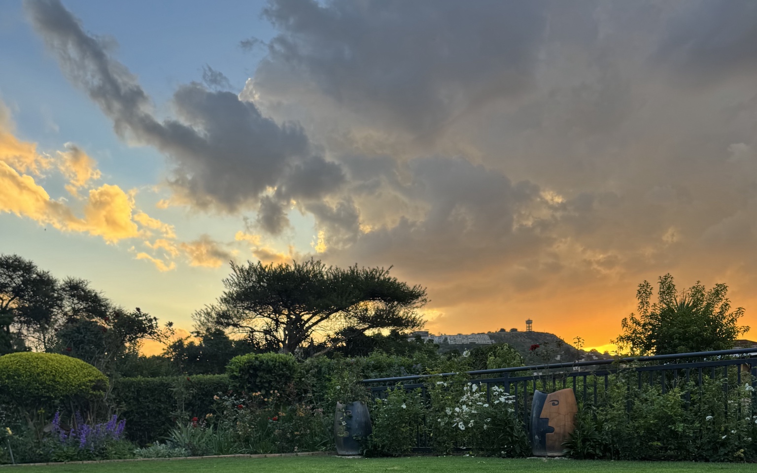 Golden sunset over the Roots and Radiance garden with Northcliff Hill in the distance